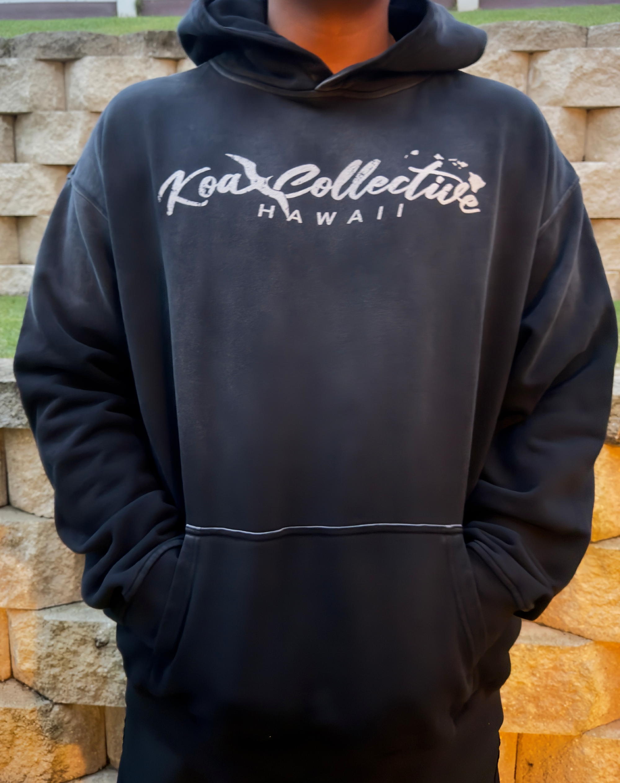 No Point Hoodie - Chapter II