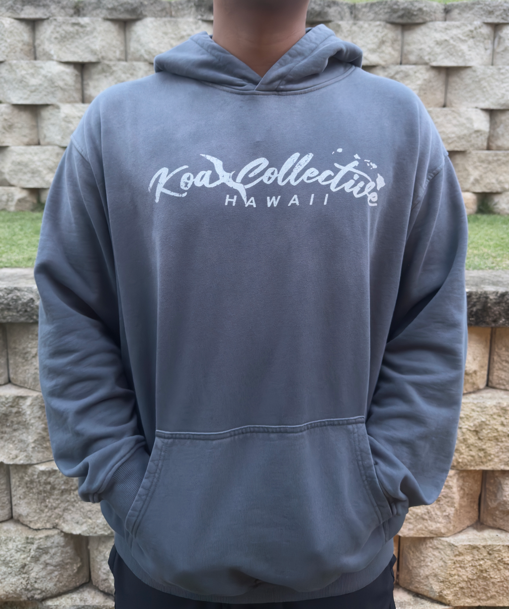 No Point Hoodie - Chapter II